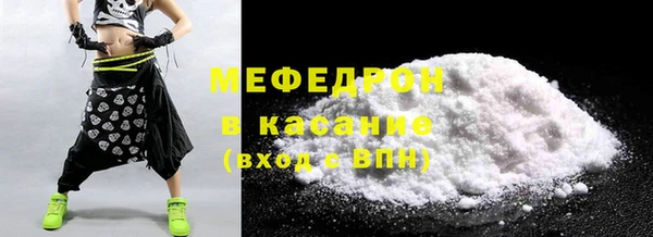 индика Бородино