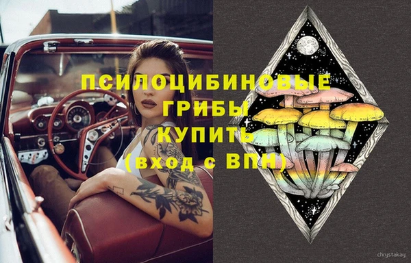 прущие крисы Белоозёрский
