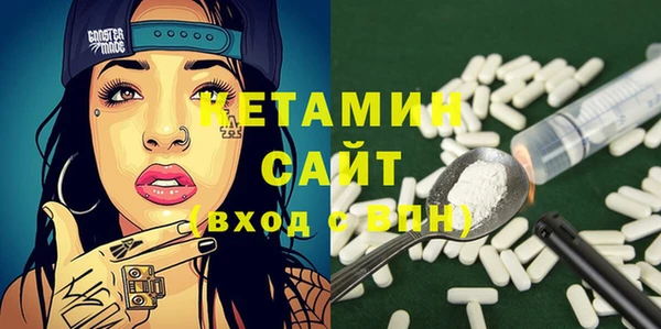 индика Бородино