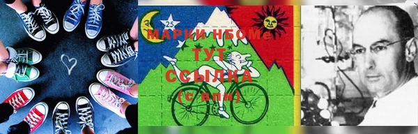 индика Бородино
