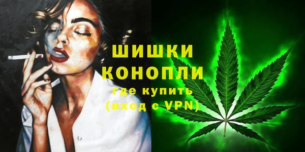 2c-b Белокуриха